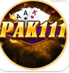 Pak 111 Game - icon